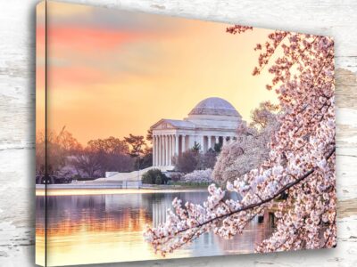 Cherry Blossoms Washington DC Canvas Print - Custom Printed Fine Art Print, Washington DC lovely with Cherry Blossoms