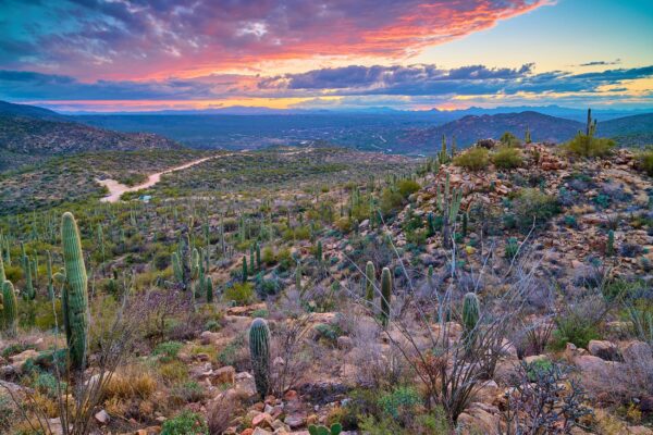 Tucson travel art canvas print, Tucson wall art, Tucson canvas art,   Tucson watercolor canvas wall art,  Tucson Arizona print - Image 4